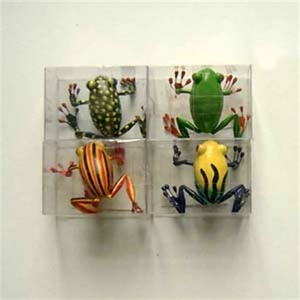 Frog Magnets set 4 van Pol's Potten